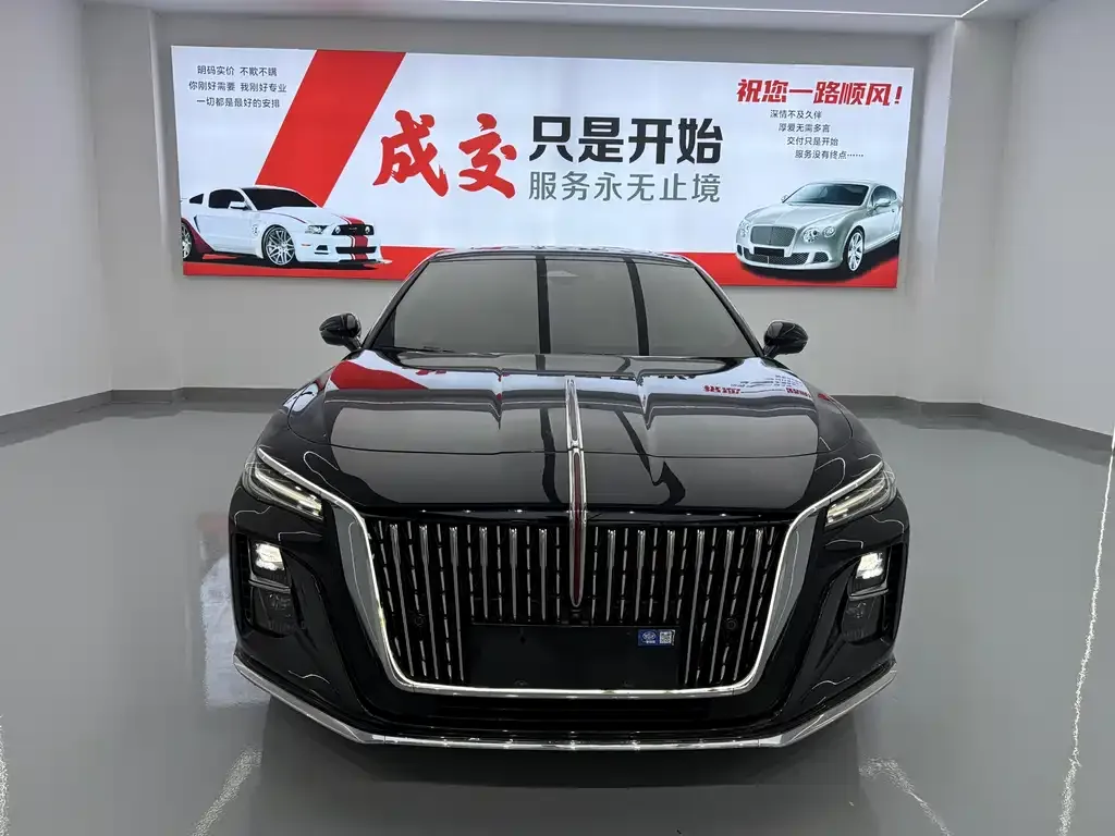 Hongqi H5 — фото 10