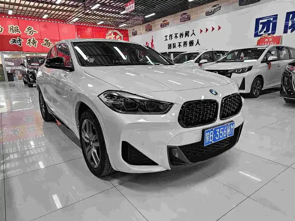 BMW X2 — фото 5