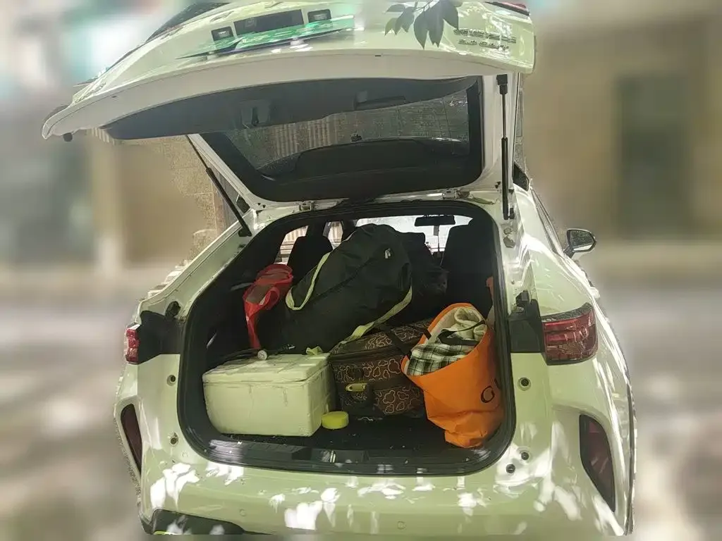 Haval H6S 2022 из CN, фото 5