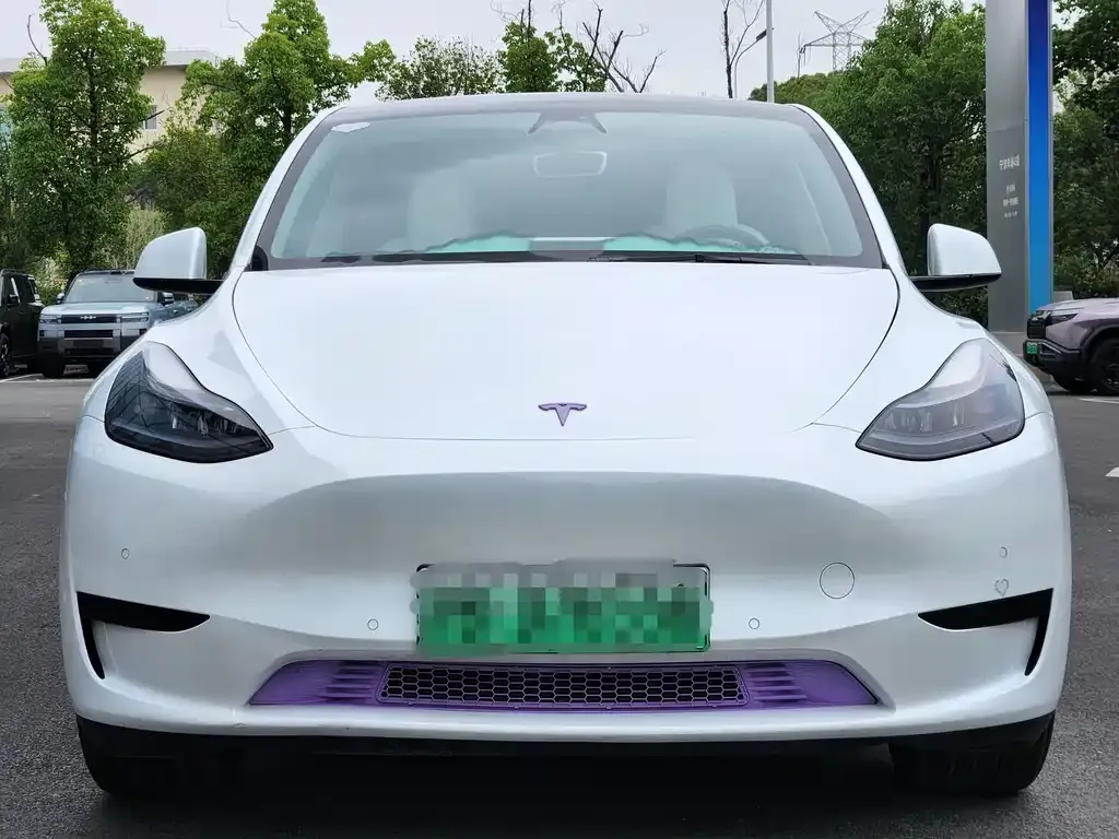 Tesla Model Y 2024 из CN, фото 5