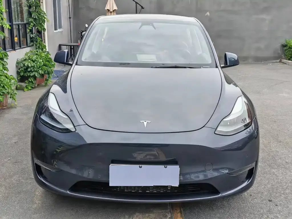 Tesla Model Y — фото 9