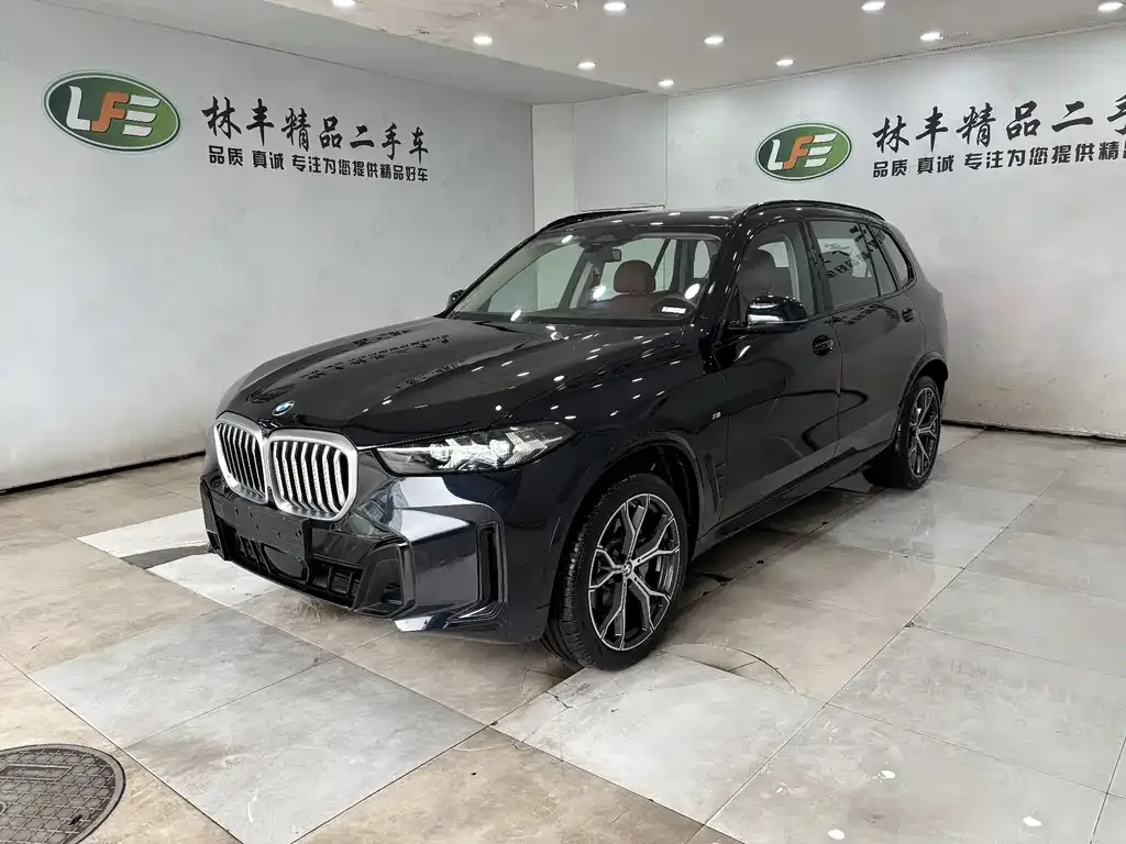 BMW X5 xDrive 30Li M Sport Night 1