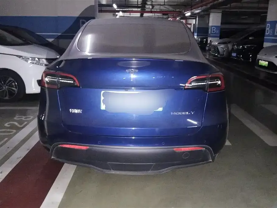 Tesla Model Y — фото 6