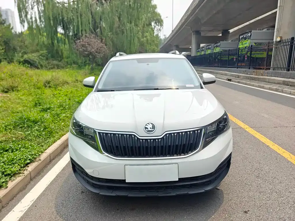 Skoda Kamiq 2024 из CN, фото 5