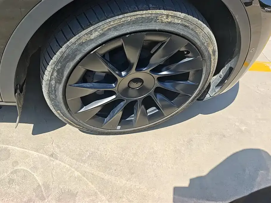 Tesla Model Y — фото 10