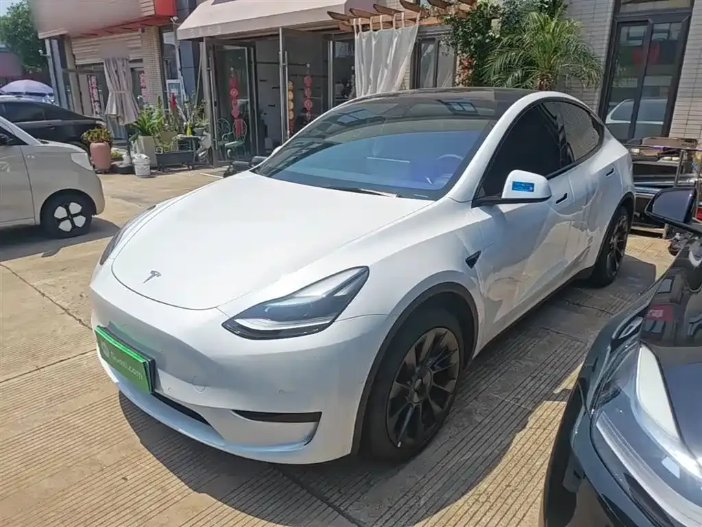 Tesla Model Y — фото 1