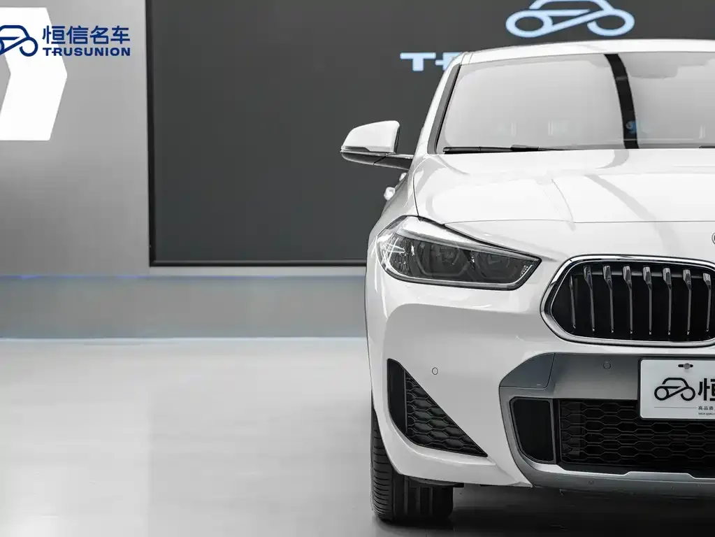 BMW X2 — фото 9