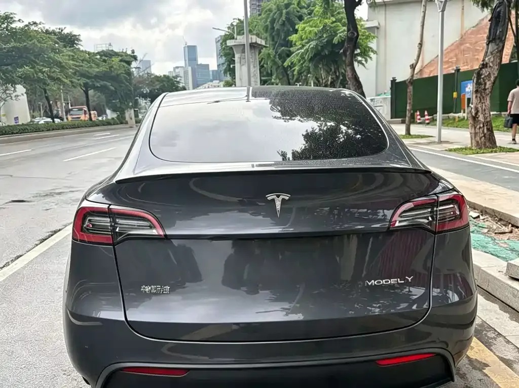 Tesla Model Y — фото 5