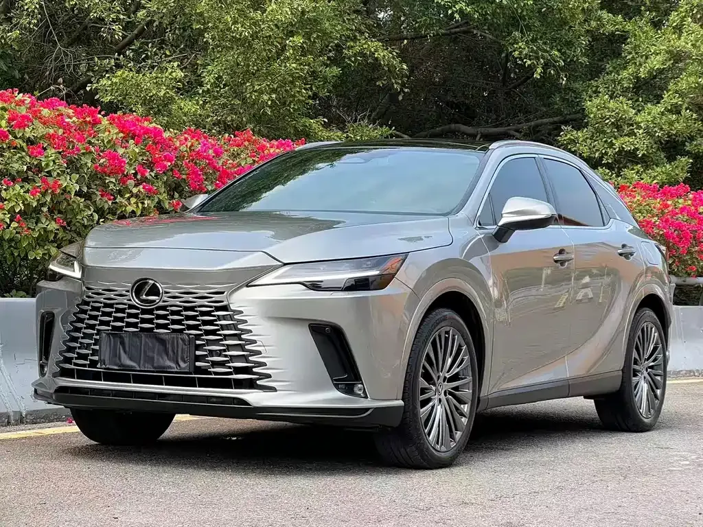 Lexus RX — фото 1