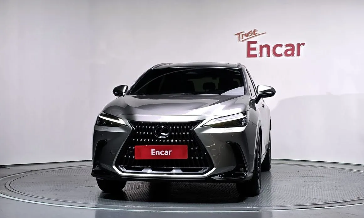 Lexus NX 2023 из KR, фото 10