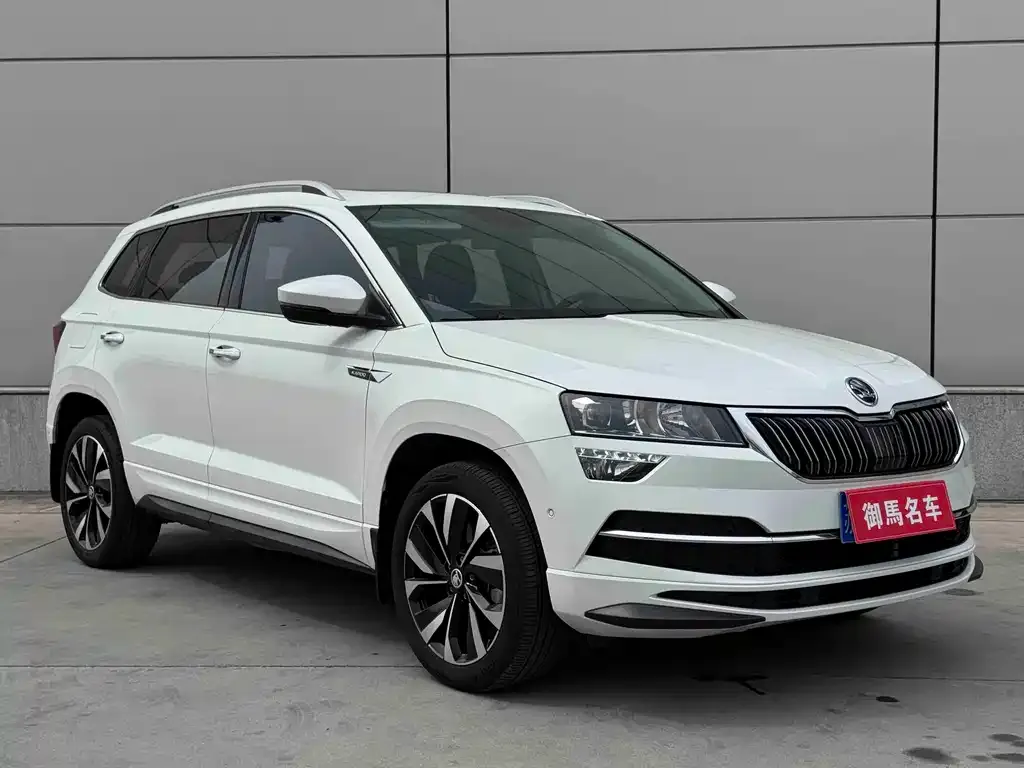 Skoda Karoq — фото 10