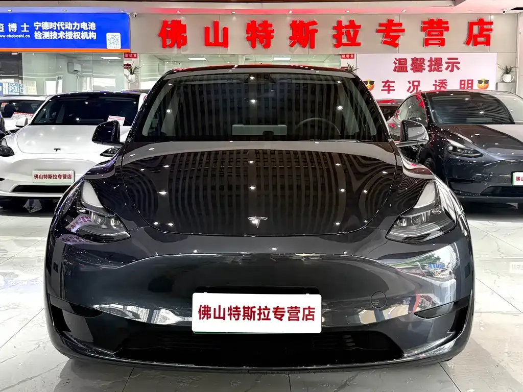 Tesla Model Y — фото 10