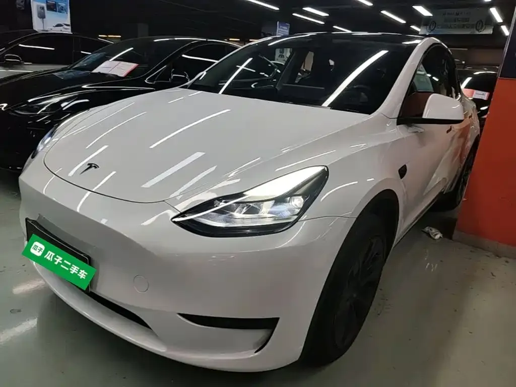 Tesla Model Y — фото 9