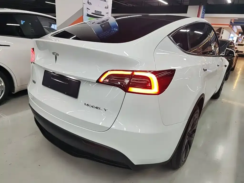 Tesla Model Y — фото 10