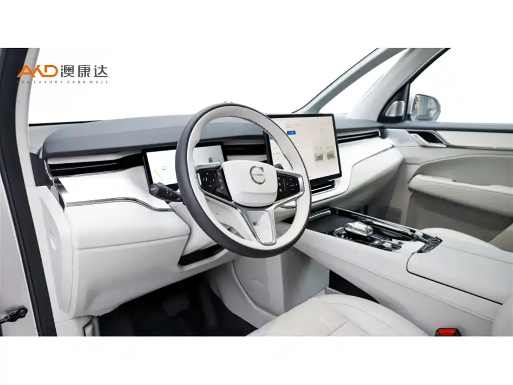 Volvo EM90 2024 из CN, фото 3