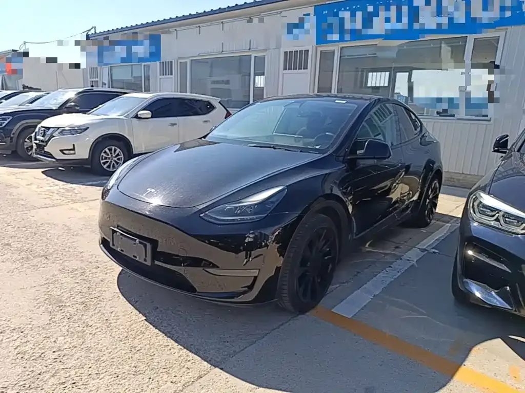 Tesla Model Y — фото 1