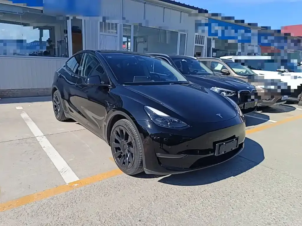 Tesla Model Y — фото 10