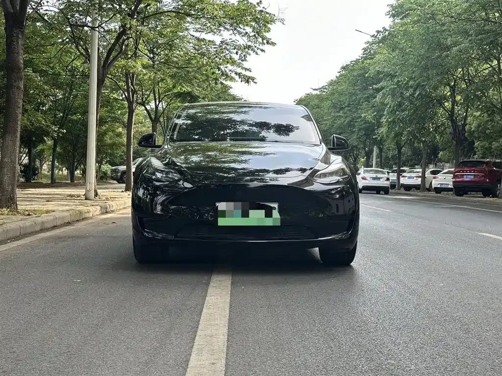 Tesla Model Y — фото 9
