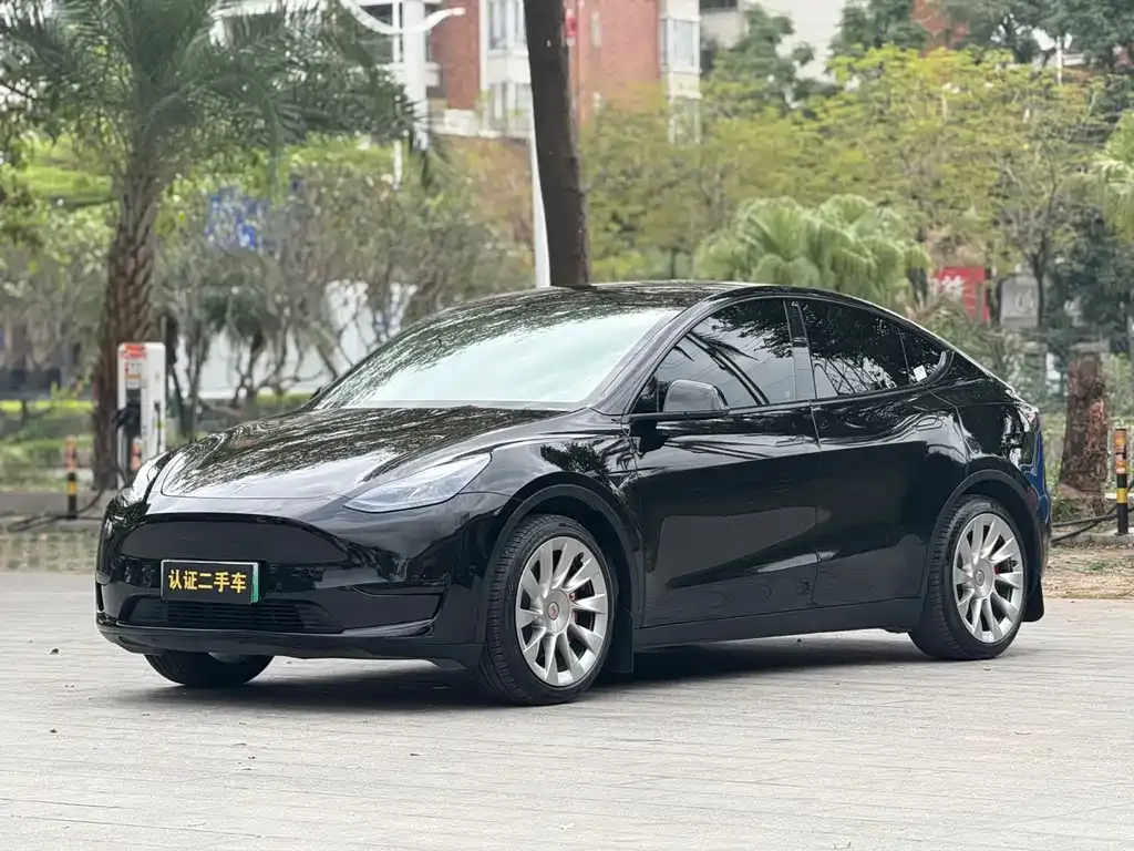 Tesla Model Y — фото 1