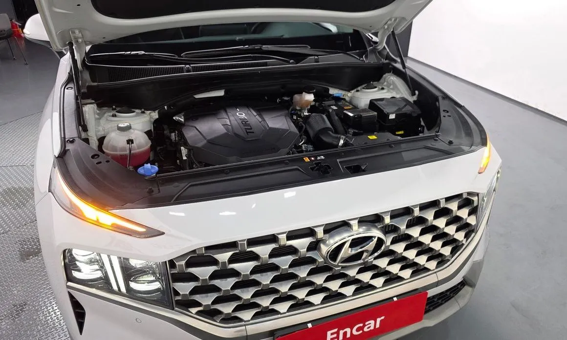 Hyundai Santafe 2023 из KR, фото 6