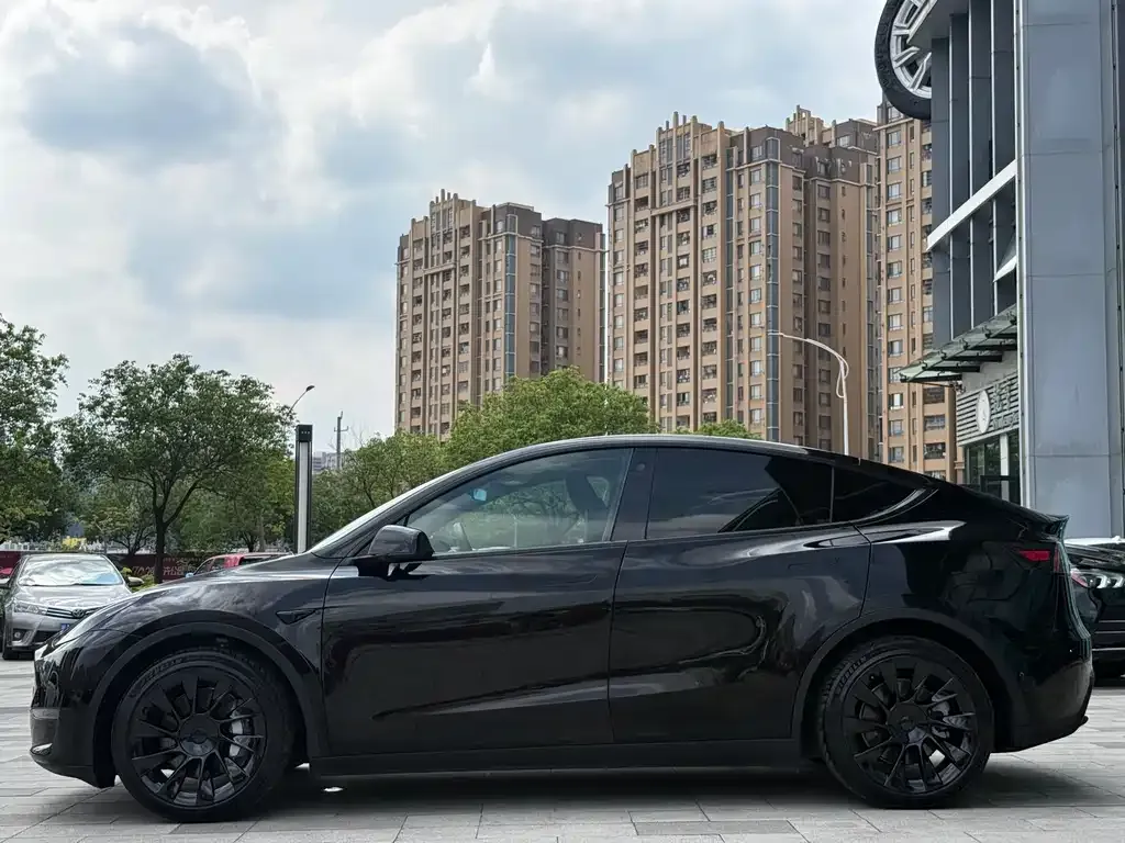 Tesla Model Y — фото 9