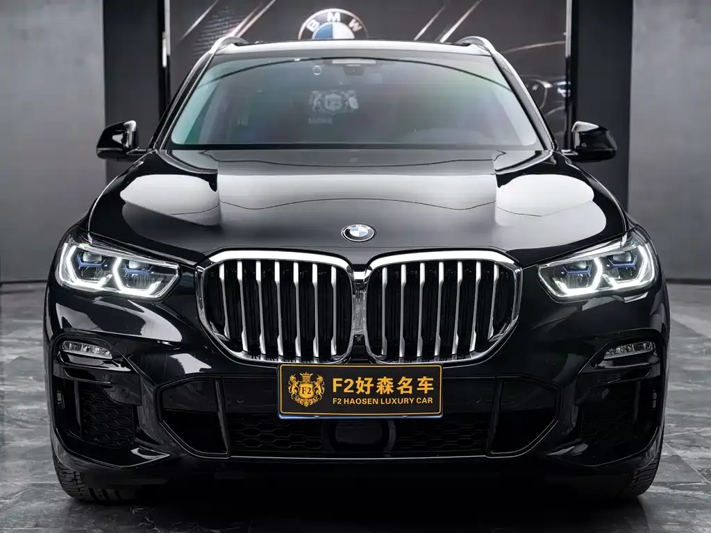 BMW X5 (Import) — фото 5