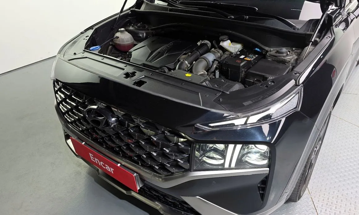 Hyundai Santafe 2023 из KR, фото 8