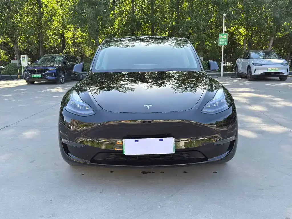 Tesla Model Y — фото 6