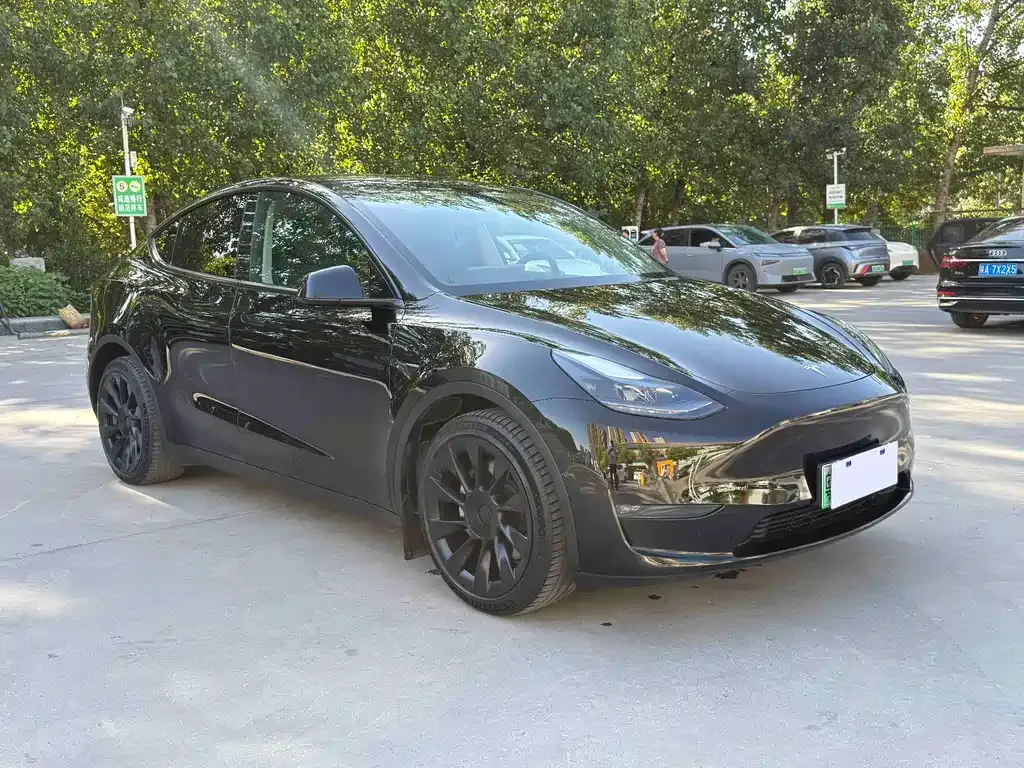Tesla Model Y — фото 8