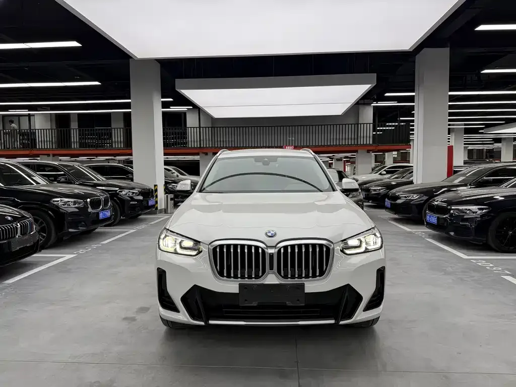 BMW X3 2021 из CN, фото 3