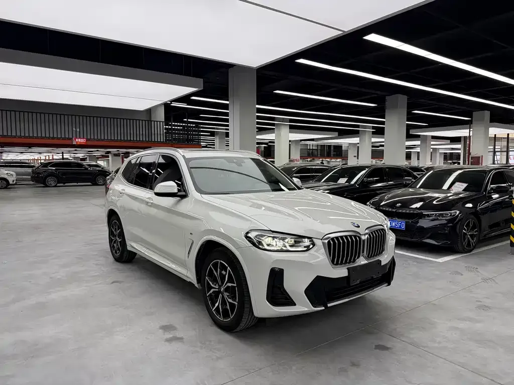 BMW X3 2021 из CN, фото 10