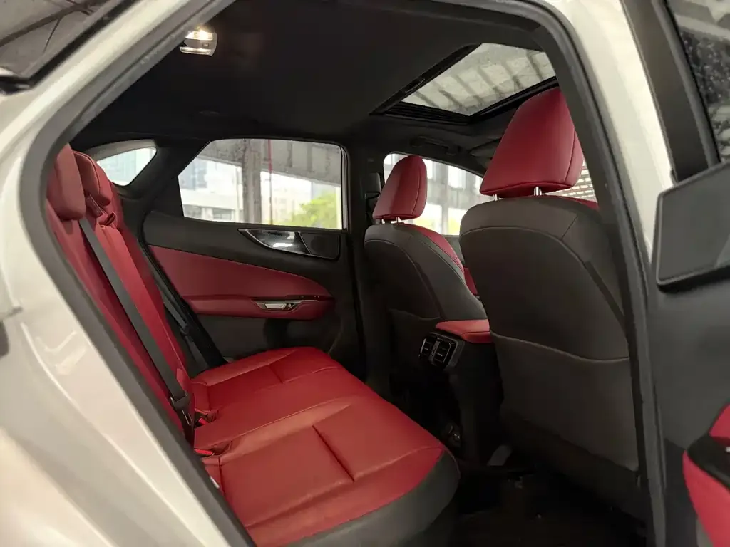 Lexus NX New Energy 2021 из CN, фото 5