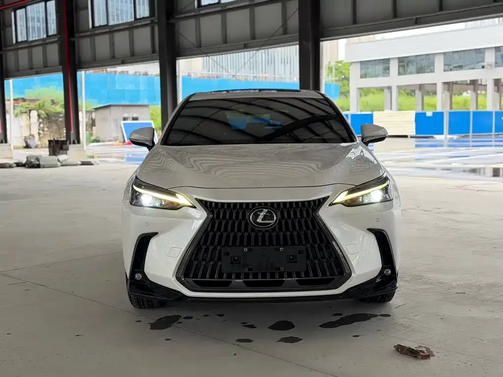 Lexus NX New Energy 2021 из CN, фото 10