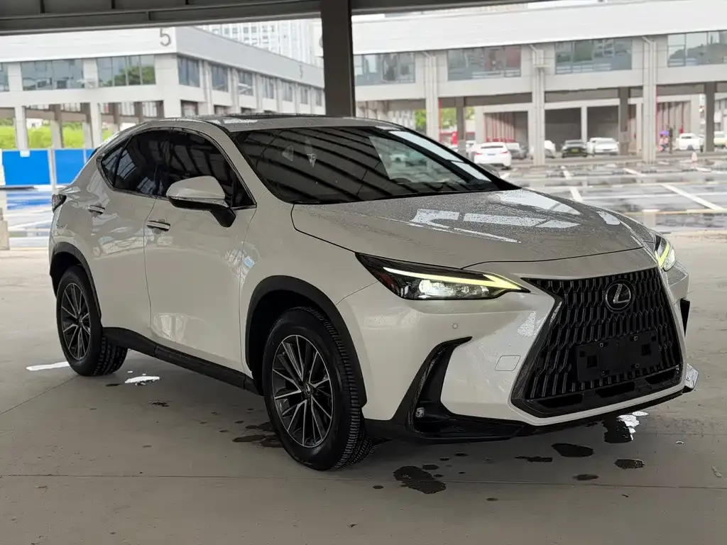 Lexus NX New Energy 2021 из CN, фото 2