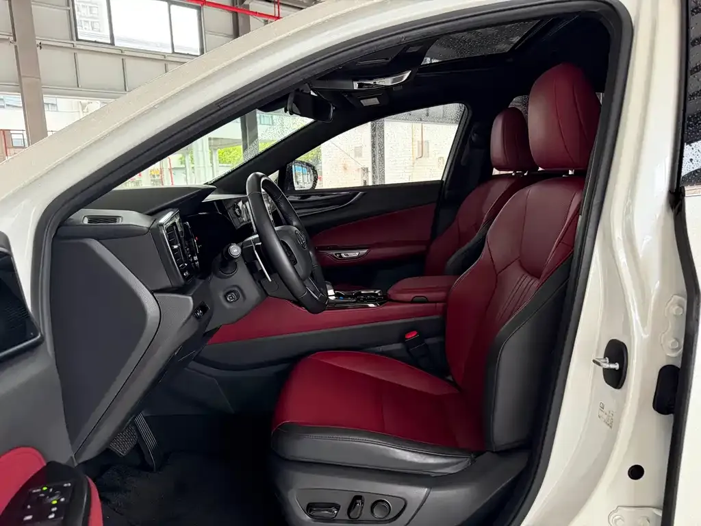 Lexus NX New Energy 2021 из CN, фото 9