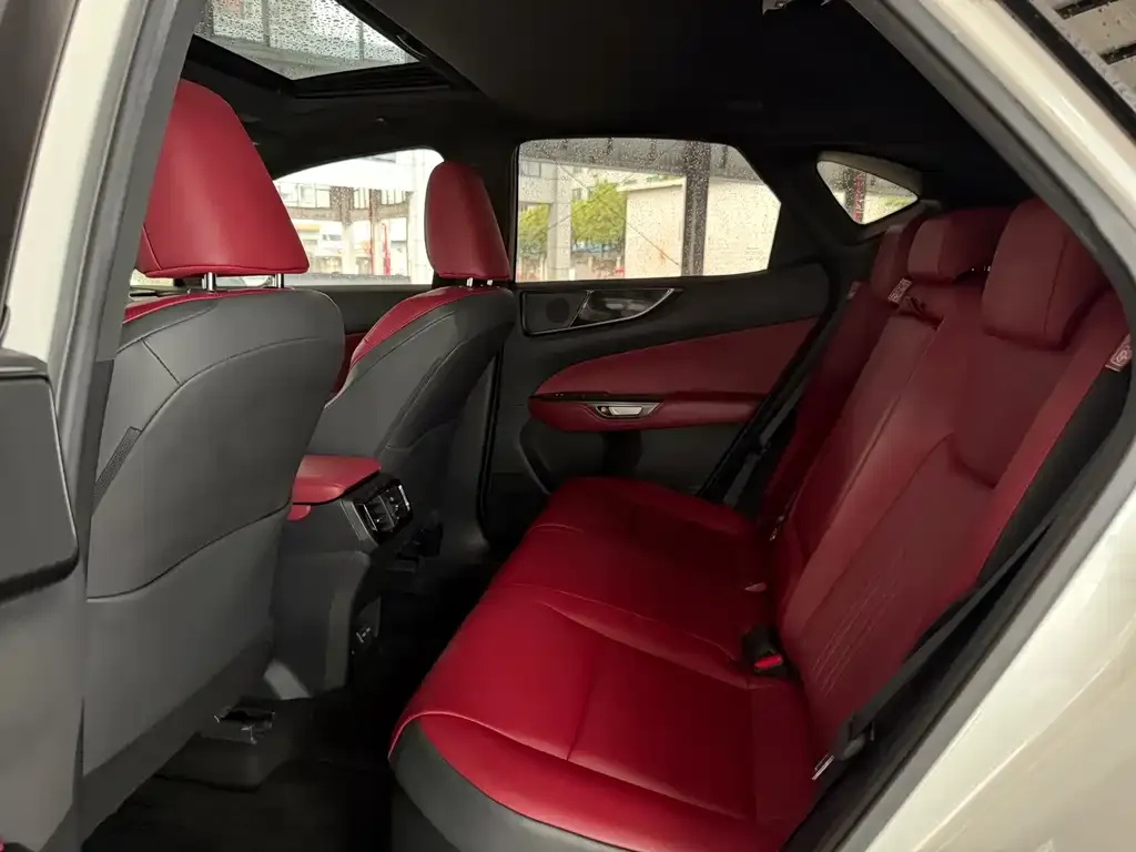 Lexus NX New Energy 2021 из CN, фото 3