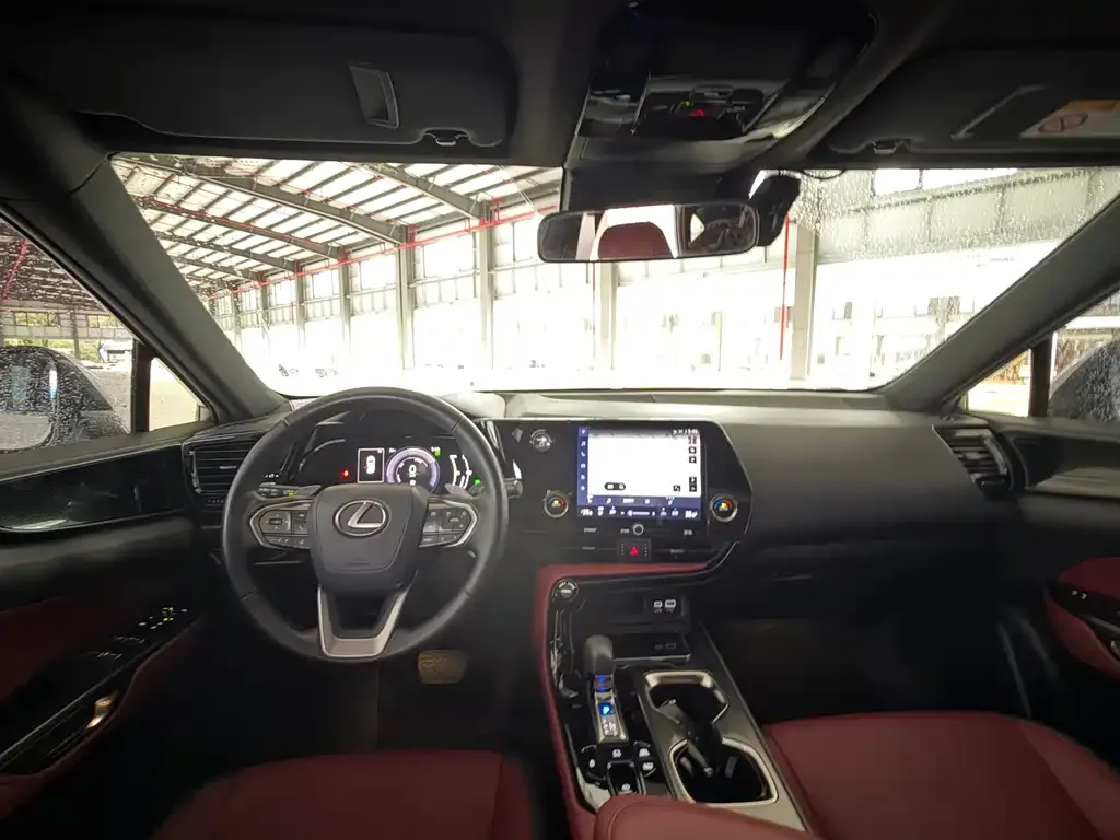 Lexus NX New Energy 2021 из CN, фото 8