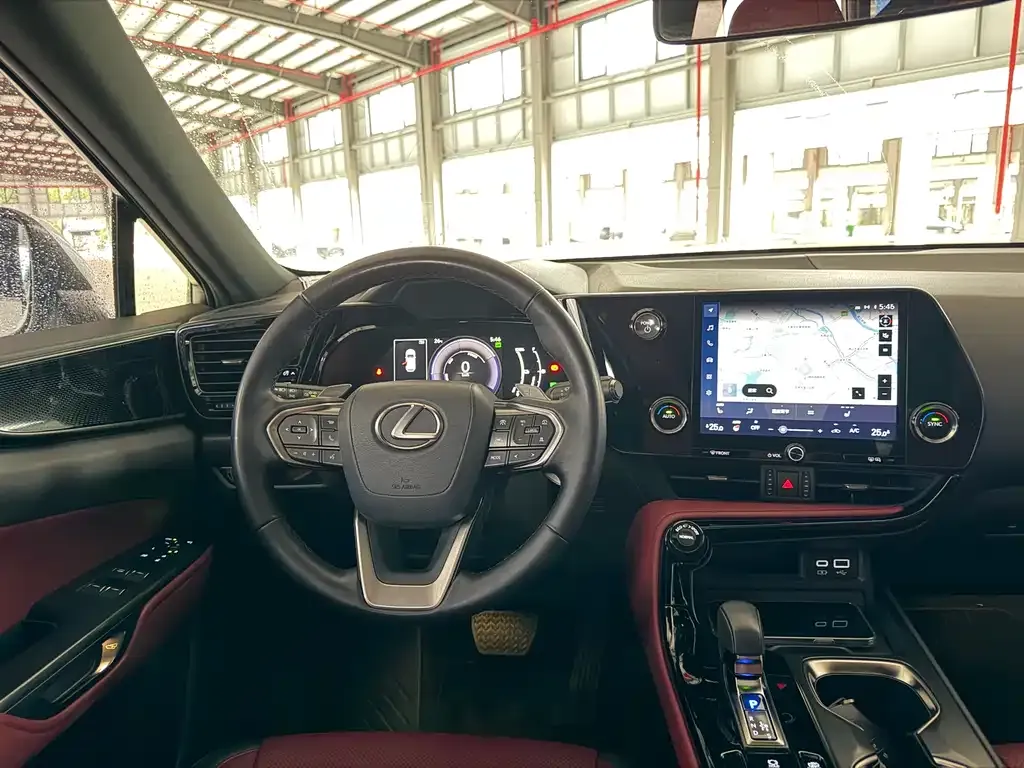 Lexus NX New Energy 2021 из CN, фото 7