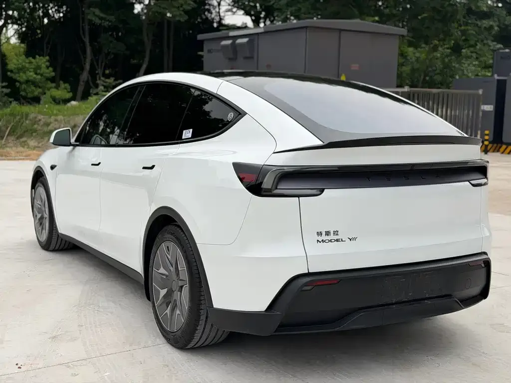 Tesla Model Y L 2025 из CN, фото 2