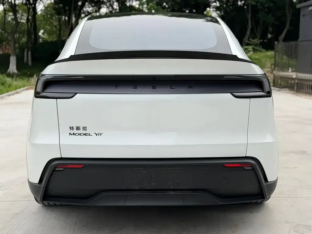 Tesla Model Y L 2025 из CN, фото 4