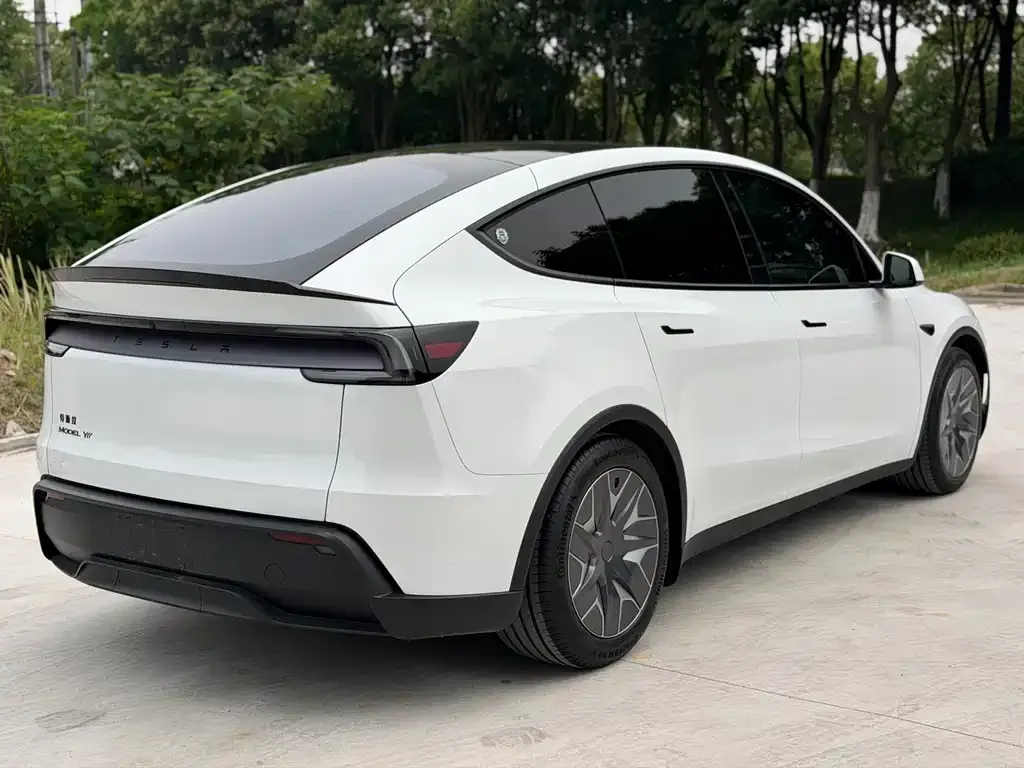 Tesla Model Y L 2025 из CN, фото 5