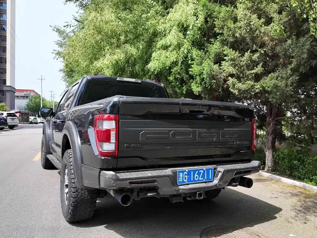 Ford F-150 Raptor 2024 из CN, фото 4