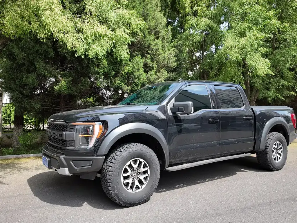 Ford F-150 Raptor 2024 из CN, фото 5