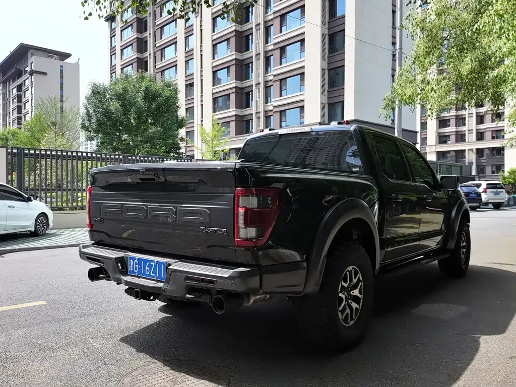 Ford F-150 Raptor 2024 из CN, фото 6