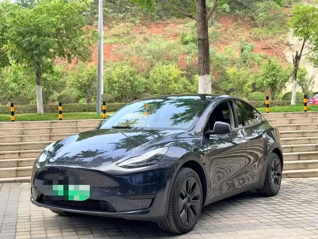 Tesla Model Y — фото 1