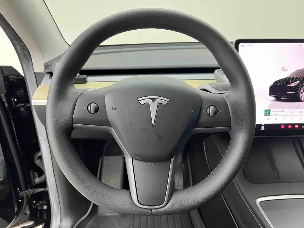 Tesla Model Y — фото 8