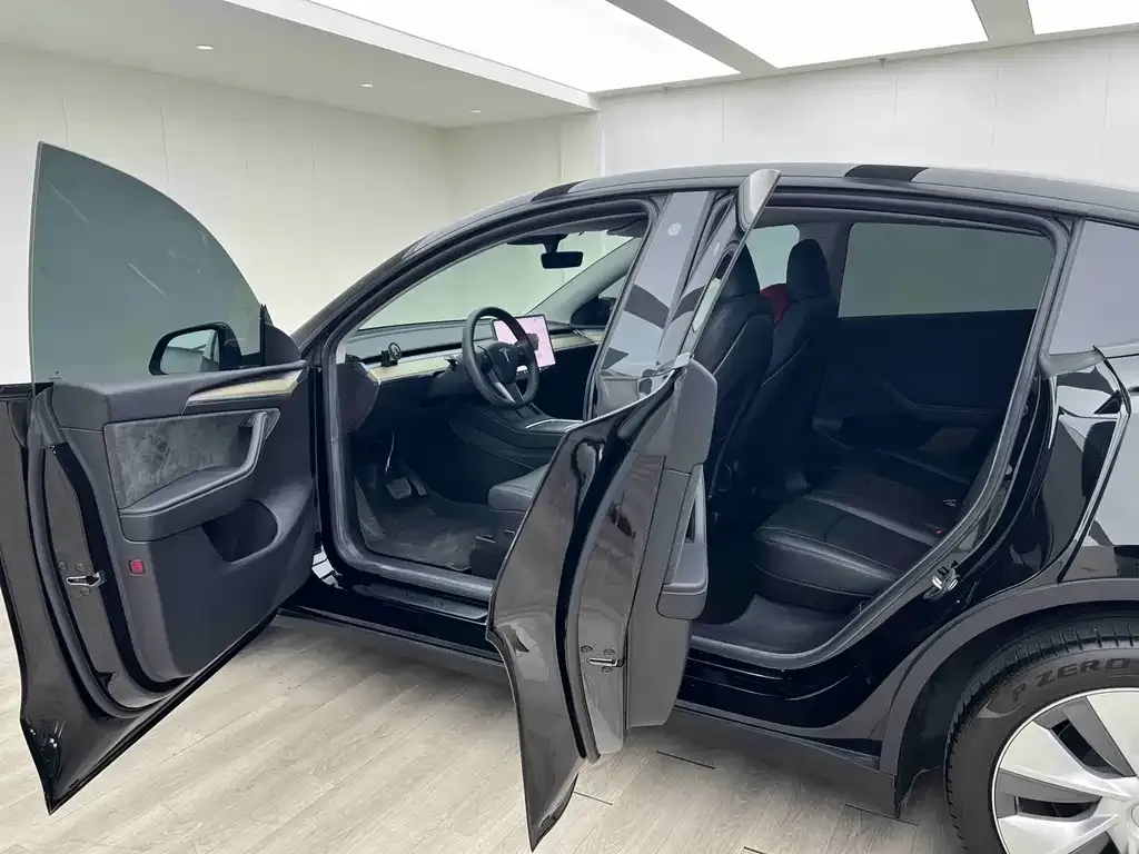 Tesla Model Y — фото 9