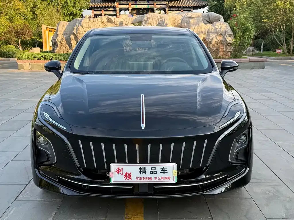 Hongqi E-QM5 — фото 10