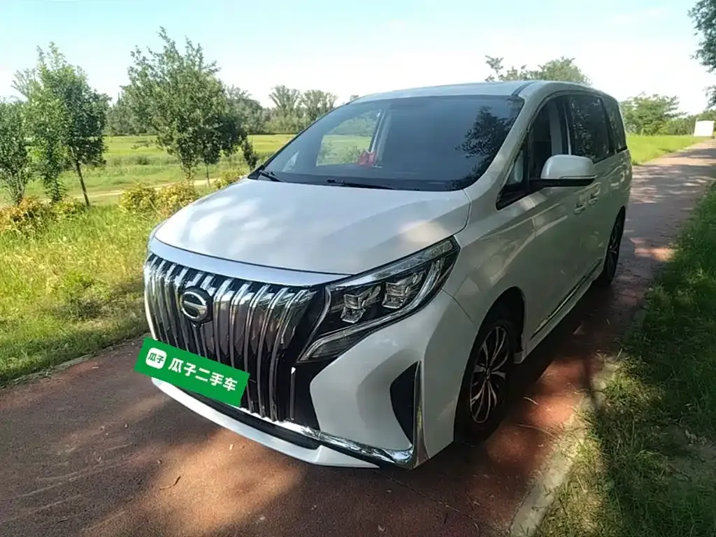 GAC Motor Trumpchi M8 2023 из CN, фото 5