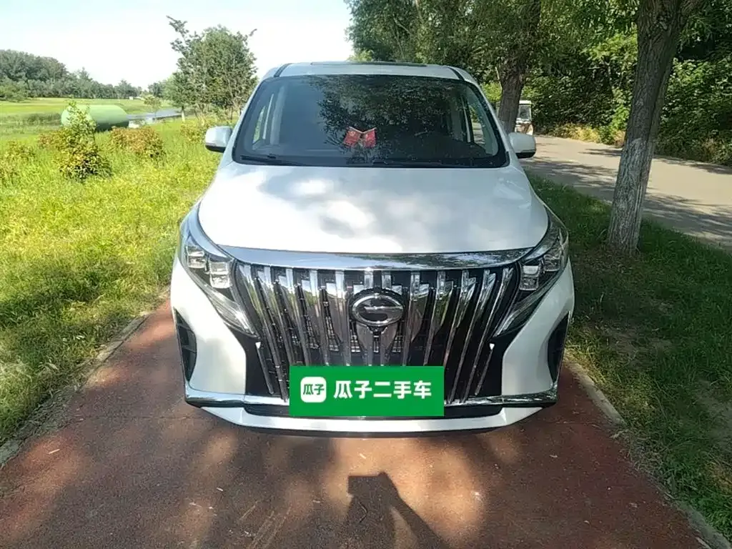 GAC Motor Trumpchi M8 2023 из CN, фото 9